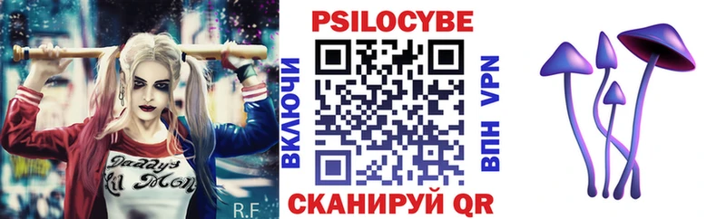 Купить закладки  Чайковский  Галлюциногенные грибы ЛСД 